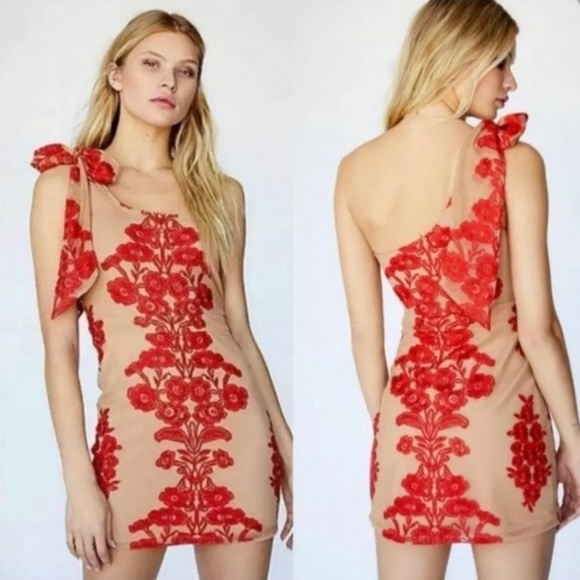 For love & Lemons Temecula Red Tan One Shoulder Mini Dress Embroidered Mesh XS - Picture 2 of 12